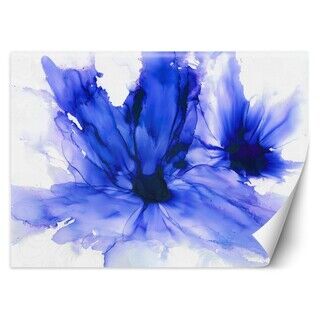 Tapete, Blaue Kornblumen