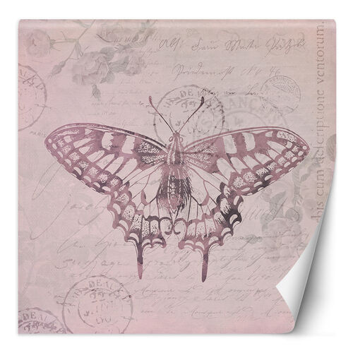 Tapete, Schmetterling auf rosa Hintergrund - Andrea Haase