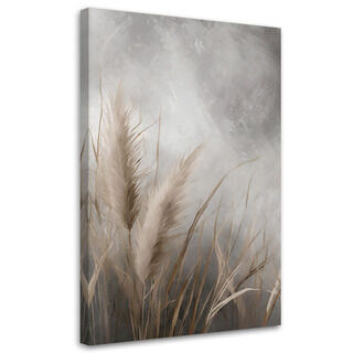 Leinwandbild, Gras, Natur, Botanik - (40x60)