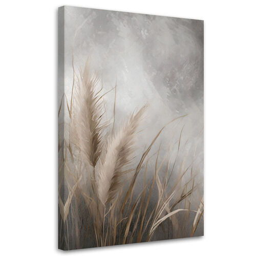 Leinwandbild, Gras, Natur, Botanik - (80x120)