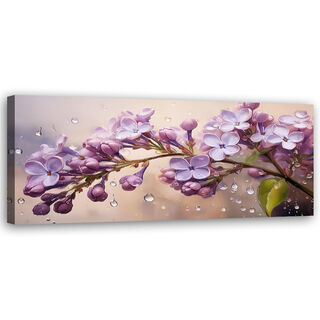 Leinwandbild, Blühende Fliederblüten, rosige Tropfen - (120x40)