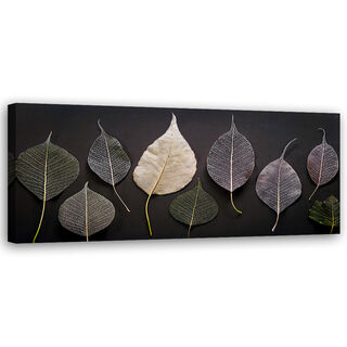 Leinwandbild, Minimalismus hinterlässt Glamourpflanzen - (90x30)