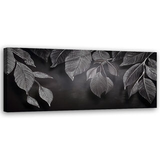 Leinwandbild, Minimalismus hinterlässt Pflanzen schwarz und weiß - (120x40)