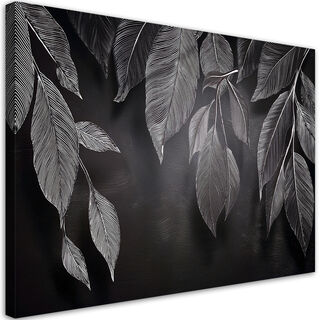 Leinwandbild, Minimalismus hinterlässt Pflanzen schwarz und weiß - (90x60)