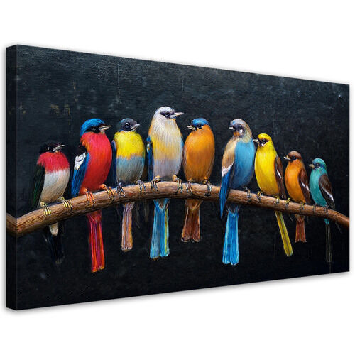 Leinwandbild, Vögel Tiere bunt - (120x60)