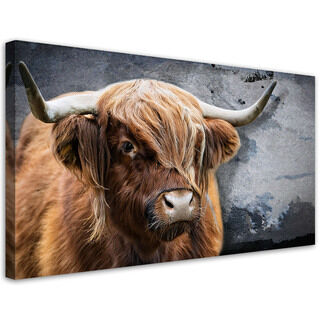 Leinwandbild, Schottische Kuh-Tier-Natur - (120x60)