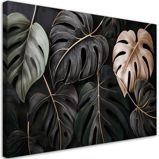 Leinwandbild, Monstera-Blätter-PflanzenTropische Pflanzen
