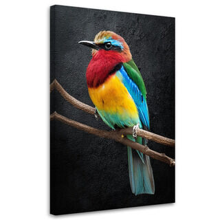Leinwandbild, Bunte Papageientiere