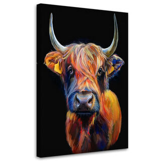 Leinwandbild, Schottische Kuhtiere