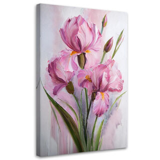 Leinwandbild, Iris rosa Blüten