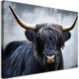 Leinwandbild, Schwarze schottische Kuhtiere