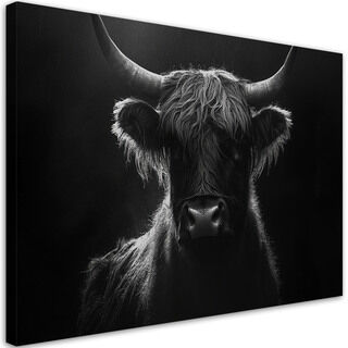 Leinwandbild, Schottische Kuh schwarz und weiß