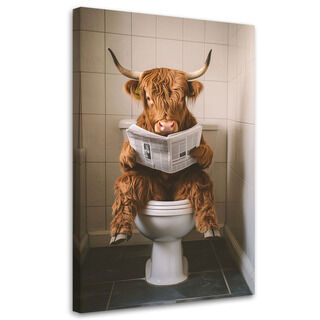 Leinwandbild, Schottische Kuh mit Zeitung in der Toilette