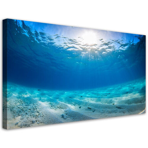 Leinwandbild Tiefen des Meeres Natur
