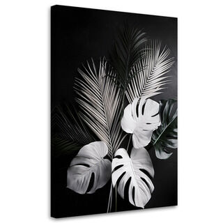 Leinwandbild Monstera-Palmenblätter schwarz und weiß