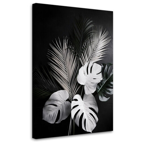 Leinwandbild Monstera-Palmenblätter schwarz und weiß