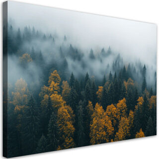 Leinwandbild, Wald in Nebel-Landschaft