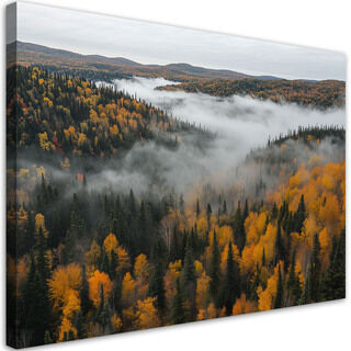 Leinwandbild, Wald in Nebel Natur-Landschaft
