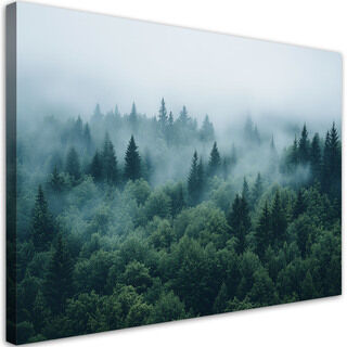 Leinwandbild, Grüner Wald im Nebel Naturlandschaft