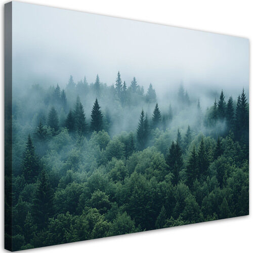 Leinwandbild, Grüner Wald im Nebel Naturlandschaft