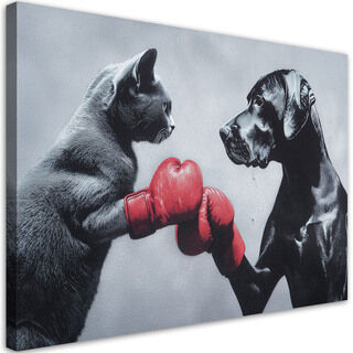 Leinwandbild, Katze und Hund im Ring
