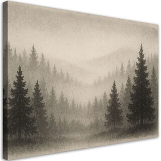Bild, Bäume Wald Nebel Beige