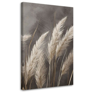 Leinwandbild, Gras, Natur, Botanik - (80x120)