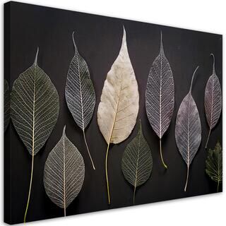 Leinwandbild, Minimalismus hinterlässt Glamourpflanzen - (90x60)