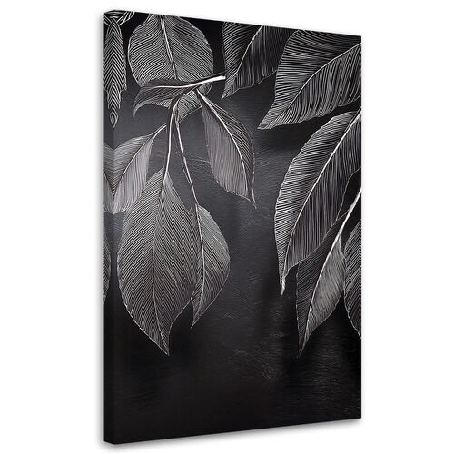 Leinwandbild, Minimalismus hinterlässt Pflanzen schwarz und weiß - (40x60)