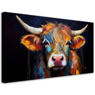 Leinwandbild, Bunte schottische Kuh - (80x40)