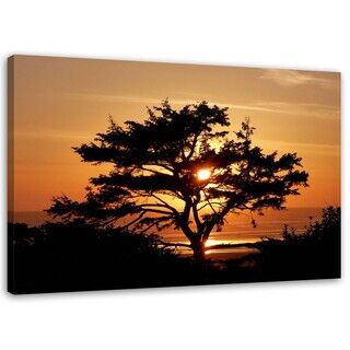 Wandbilder, Baum am Meer bei Sonnenuntergang