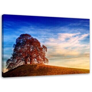 Wandbilder, Baum auf einer Hügel Landschaft