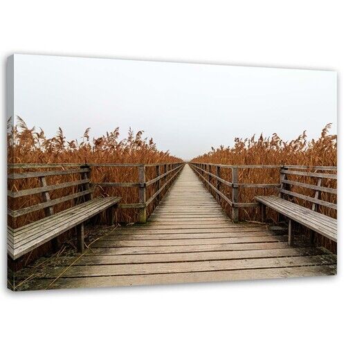 Wandbilder, Brücke des Gras-Strandlandschaft