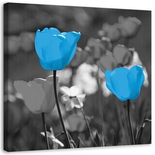 Wandbilder, Blaue Tulpen in einer Wiese