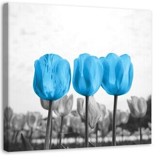 Wandbilder, Blaue Tulpen auf einer Wiese