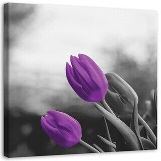 Wandbilder, Lila Tulpen Blumen Natur