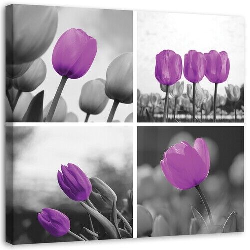 Wandbilder, Lila Tulpen-Set