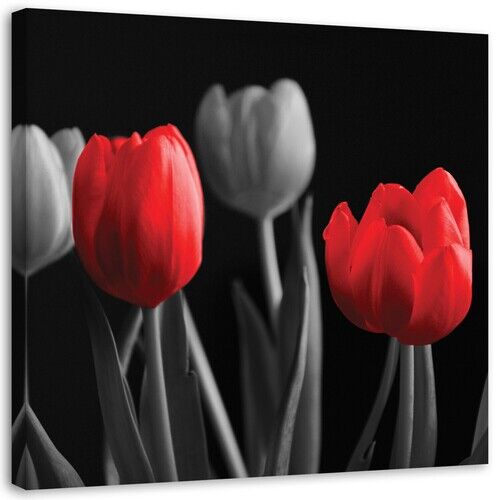 Wandbilder, Rote Tulpen