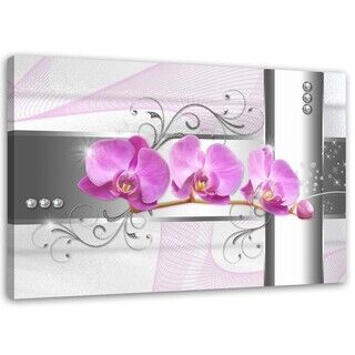 Wandbilder, Orchideen Blumen Natur Rosa