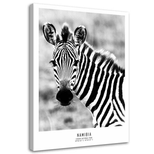 Wandbilder, Neugieriges Zebra