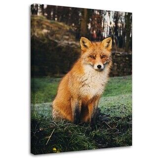 Wandbilder, Der Fuchs im Wald