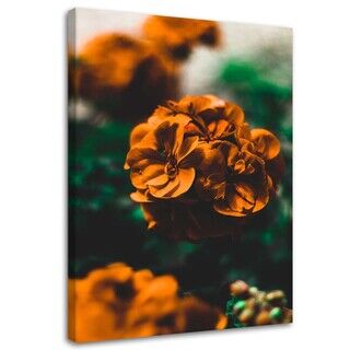 Wandbilder, Orange Blumen