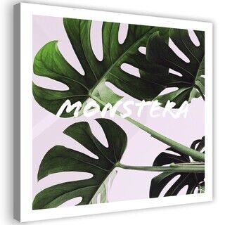 Wandbilder, Exotische Monstera-Blätter