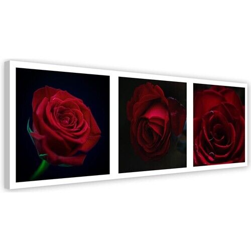 Wandbilder, Rote Rosen - Set