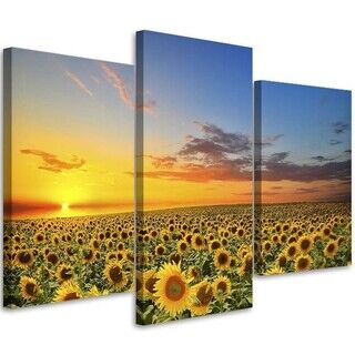 Dreiteiliges Wandbild, Sonnenblumenwiese bei Sonnenuntergang