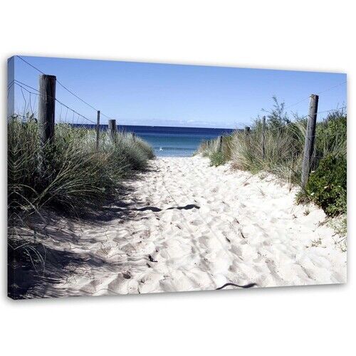 Wandbilder, Weg über die Dünen zum Strand