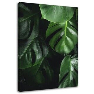 Wandbilder, Monstera-Blätter