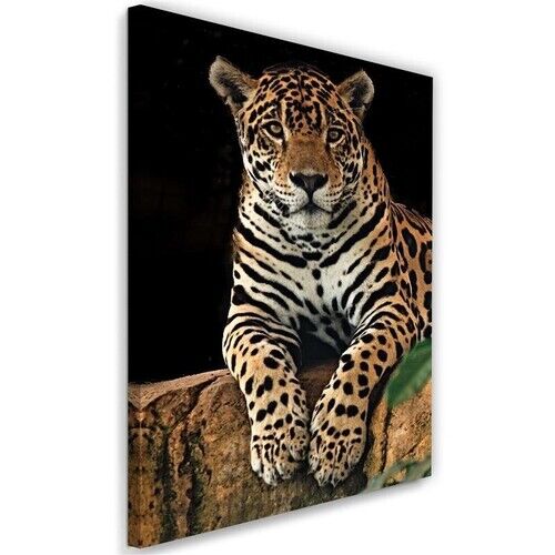 Wandbilder, Leopard Tier Natur