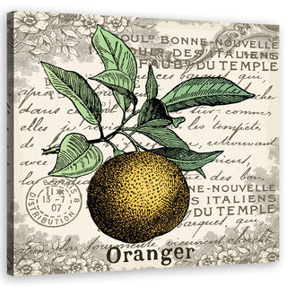 Wandbilder, Orange Vintage