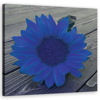 Wandbilder, Blaue Sonnenblume